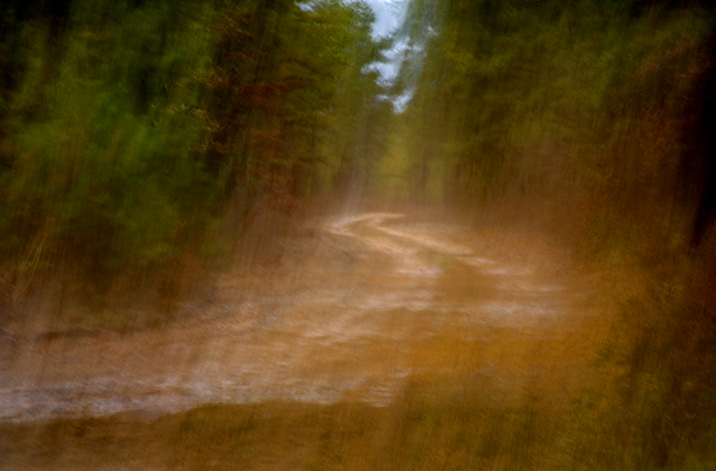 © Richard Speedy