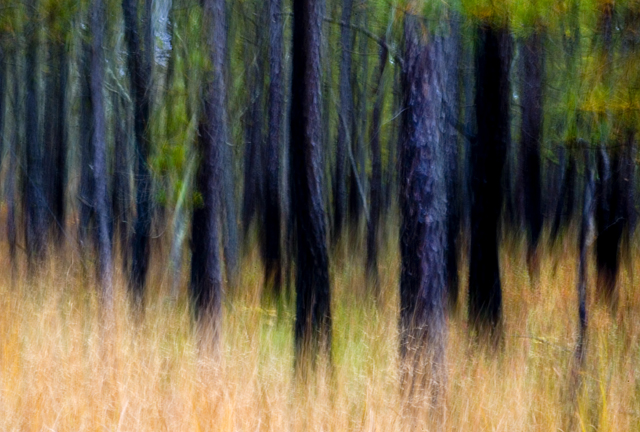 © Richard Speedy