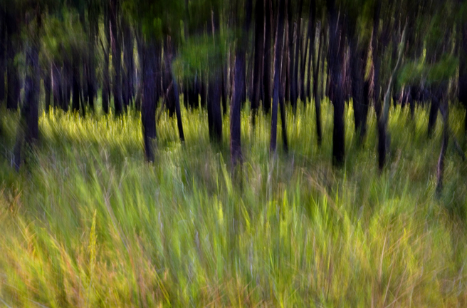 © Richard Speedy