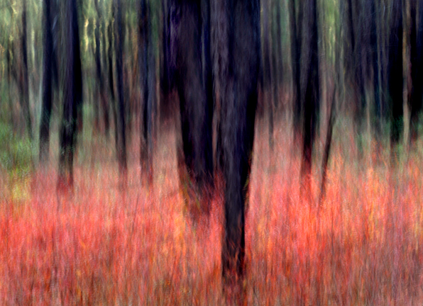© Richard Speedy