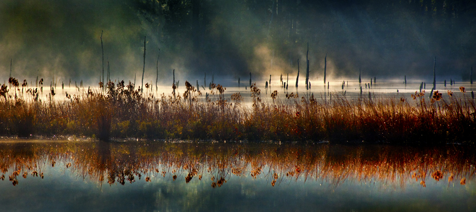 © Richard Speedy